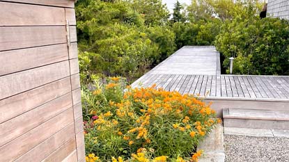 Side Yard Mound & Orchard